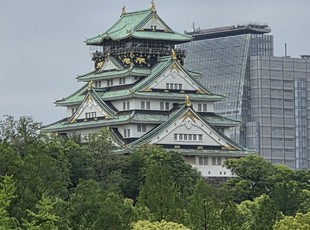 研修会場近くの景色