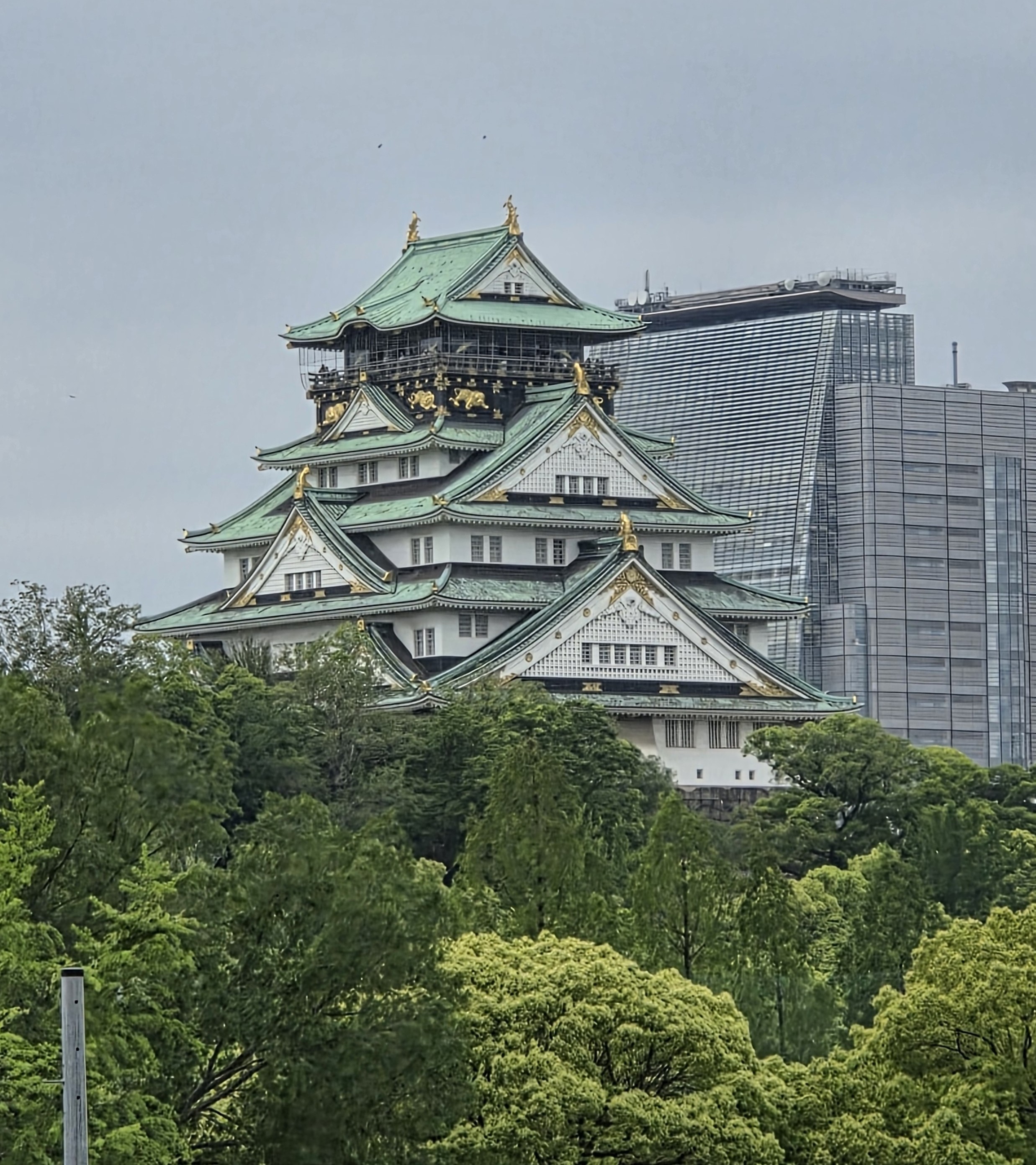 研修会場近くの景色